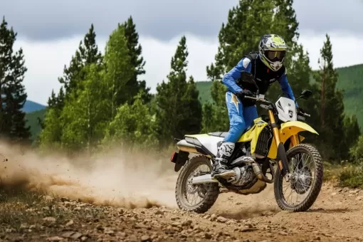 suzuki-nov24-drz4pair-gallery7.jpg
