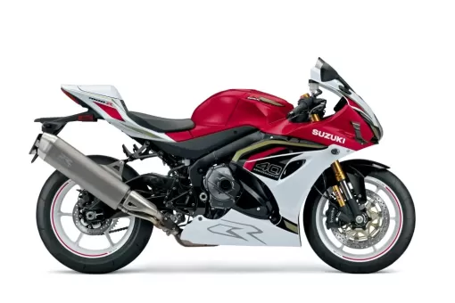 gsx-r1000r-c7q-right-winglets-1024x683.jpg