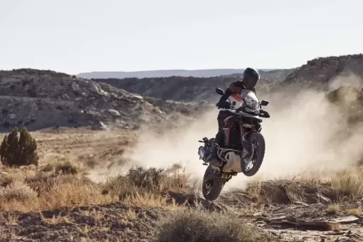 tiger-900-rally-pro-my24-14443-jp.webp