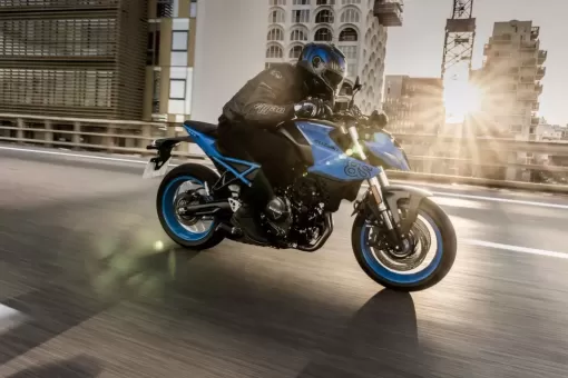 suzuki-gsx-s8-2513-1-1024x683.jpg